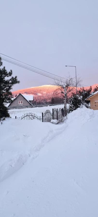 U Jedrusia Apartment Zubrzyca Gorna Luaran gambar